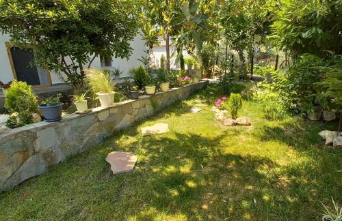 La Casa Di Elena - Foto 3