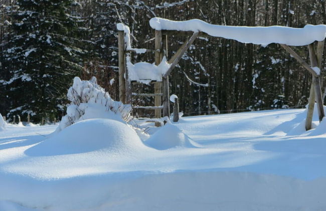 Nagelsmederij in het Huis Waldwinkel - Foto 35