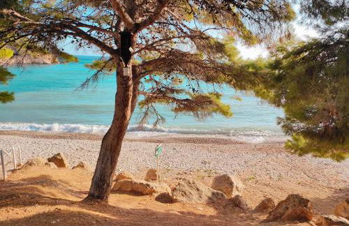 Luxury Apartments Mascarat - Photo 32