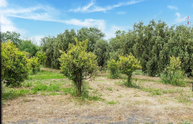 Holiday Home in Carlentini With Swimming Pool - Foto 37