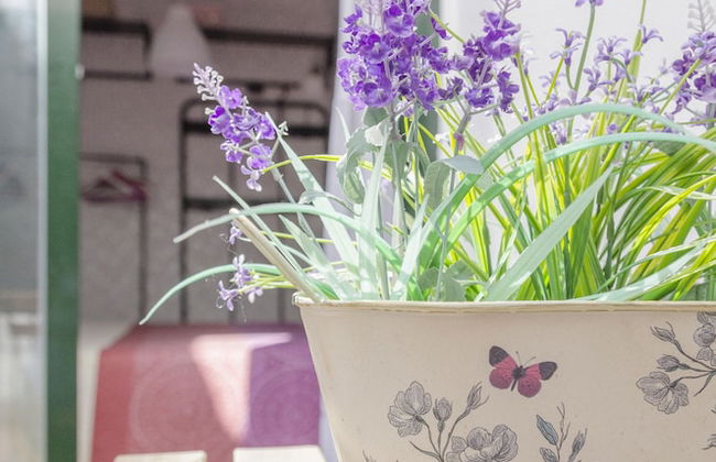 Apart De Lujo en el Casco Historico - Photo 15