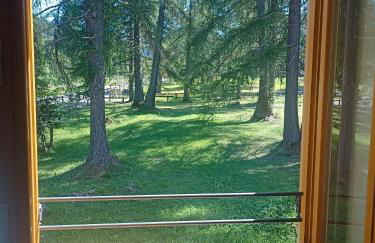 Bellamonte Villa Larici primo piano - Foto 29