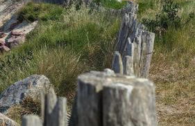 O bulles d'Agon Chalet Spa privé Plage - Foto 17