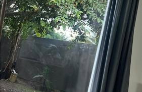 Casa Goes - Photo 17