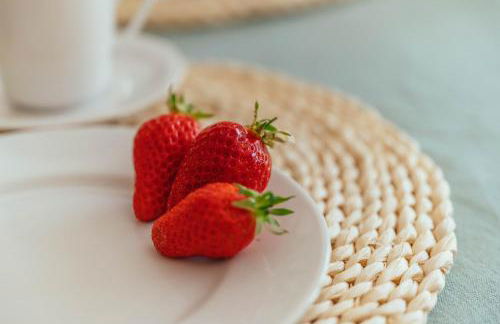 Gîtes du Bulz, en pleine forêt proche de la mer - Photo 61