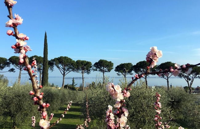 Agriturismo Nonna Bettina - Photo 21