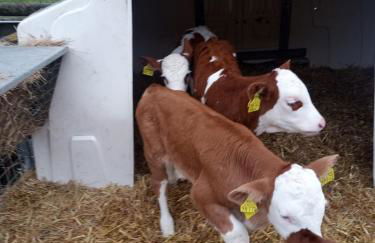 Lüns Ökoferien - Foto 18