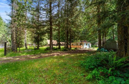Cozy Cedar Cabin Steps Away From Mt. Rainier - Foto 23