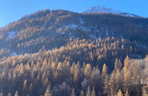 LE DOUX MELEZE - Photo 28