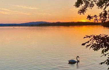 Landhaus de Gaspary - Foto 30