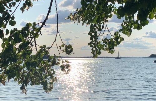 Między Brzozami - Foto 44