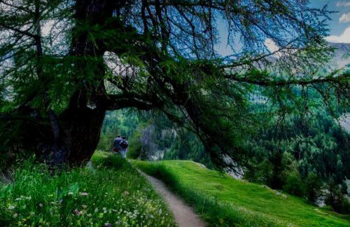 Paradis St Véran - Foto 6