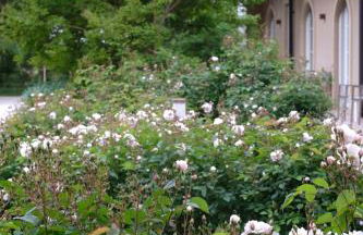 Tenuta Agriturismo La Borina - Foto 68