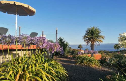 Casa la Viña - Foto 27