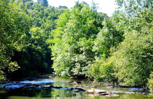 Gîte Le Bourgneuf - Photo 50