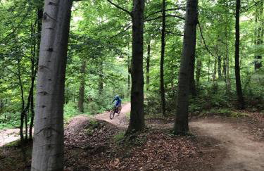 Domek Zgredek - Foto 27