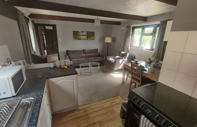 Birds Farm - Foto 25