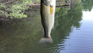 Waterfront cabin in the woods - Foto 4