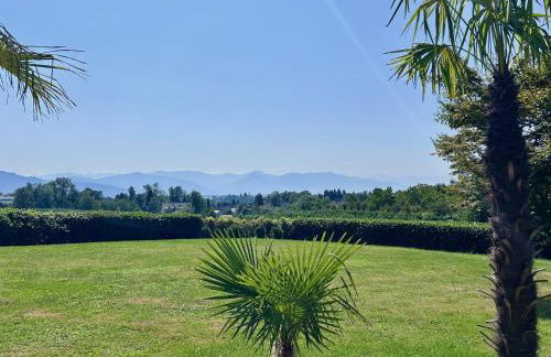 Ferienwohnung Weinberg Idyll 2 - Panoramablick zum Bodensee - Foto 15