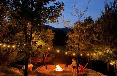 Dushka Mountain Cabin - Photo 49