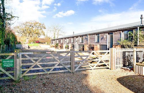 Dornfelder - Ukc3209 - Foto 6