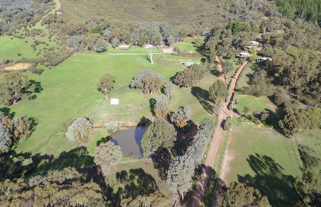 The Black Sparrow - Photo 2