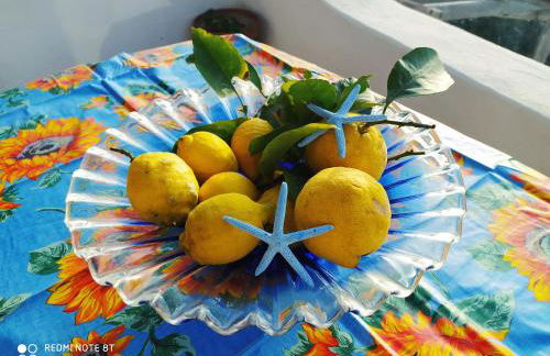 Casa Bianca Ischia - Foto 24