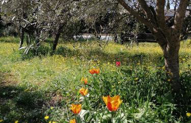 Villa gonfaron - Foto 11