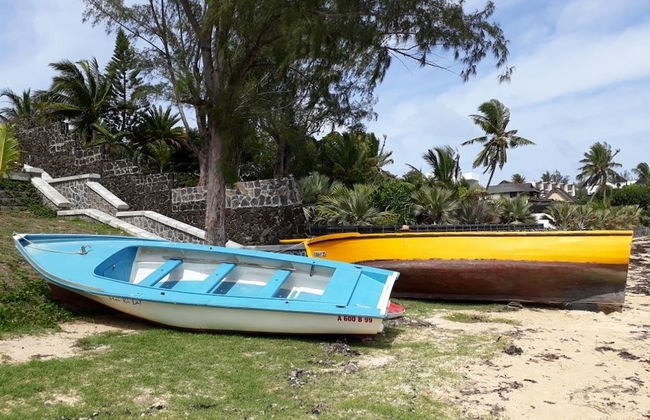 Allamanda Studios and Apartments - Photo 36