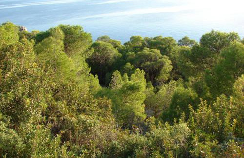 Villa Heleni - Foto 11