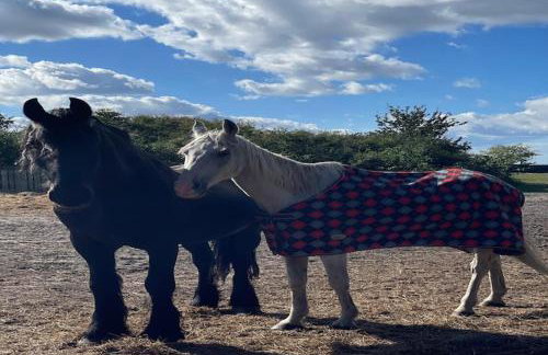 Comfortable holiday home with sauna and whirlpool - Foto 19