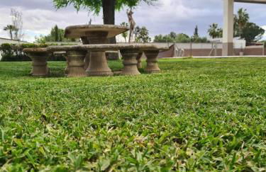 Finca Santo Domingo - Foto 5