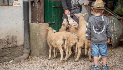 Altes Forstamt im Teutoburger Wald-Fewo Hofgarten - Foto 5