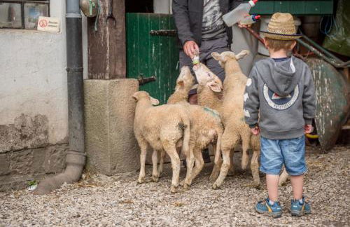 Altes Forstamt im Teutoburger Wald-Fewo Hofgarten - Foto 5