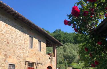 Villa Rachele - Foto 13