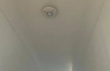 The garden flat - Photo 20