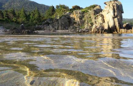 Spacious Villa close to an amazing Sithonia beach - Foto 66