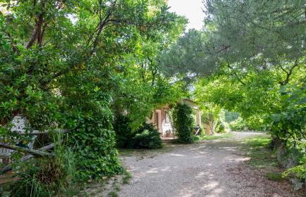 Casas Rurales Los Enebros Nerpio - Foto 39