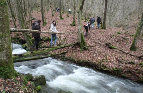 Ferienwohnungen Schenk Schmitz - Photo 37