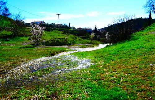 Oasis of CalmnessΕ - Foto 15