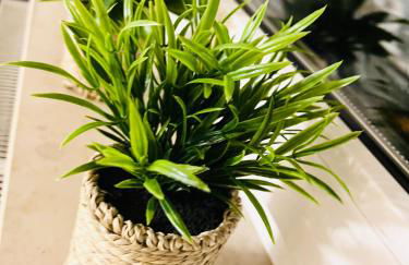 SEEMOMENTE 3-Zimmer Apartment Friedrichshafen Messe Airport Balkon Parkplatz - Foto 29