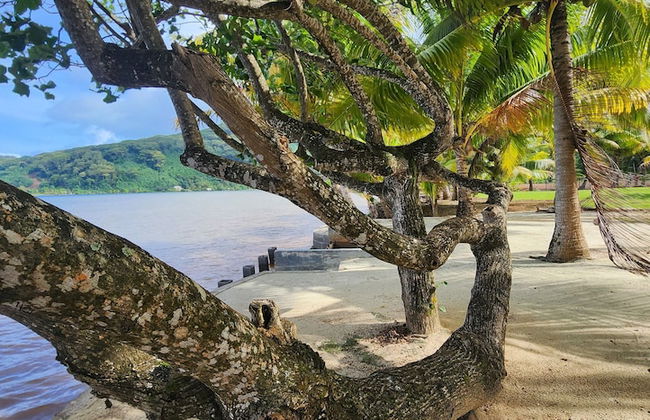 Fare Mama Rota - Photo 20