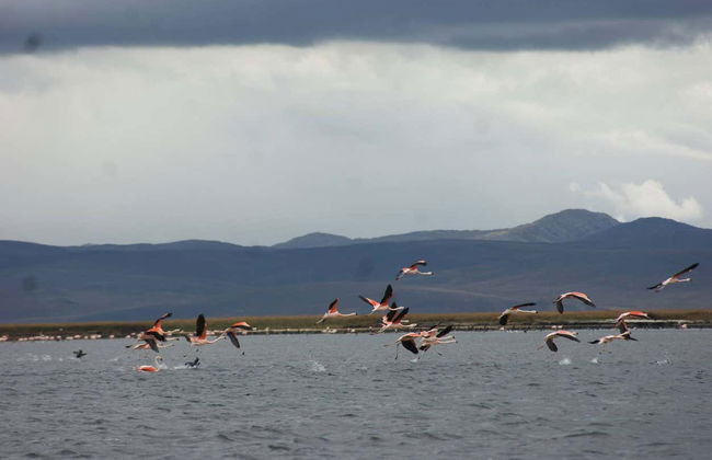 Santuario storico di Chacamarca, al lago Chinchaycocha e a Ondores - Foto 3