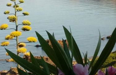 Il Rifugio del Conte - Foto 11