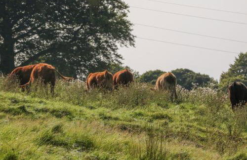 Overlea Cottage - Foto 30