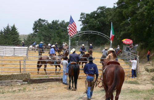 Masseria Straziuso - La Vaccariccia - Foto 11