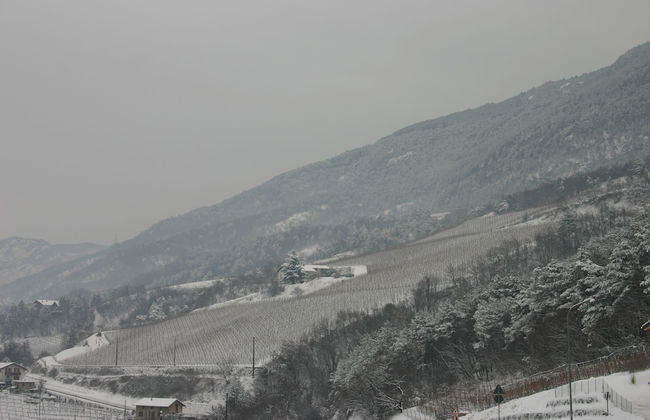 Agriturismo Eredi di Cobelli Aldo - Foto 57