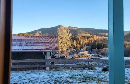 Ferienwohnung Osser Woid - Foto 21