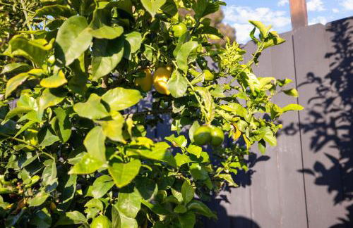 Modern Oceanside Stay with Yard & Laidback Vibes - Foto 42