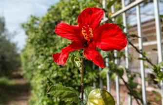 KrinesGReece - Foto 25